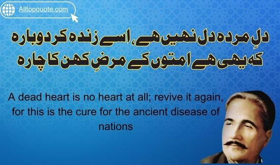 philosopher quotes