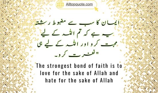 Introduction to Islamic Quotes
