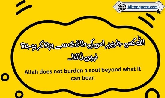 Humanity Quotes in Islam